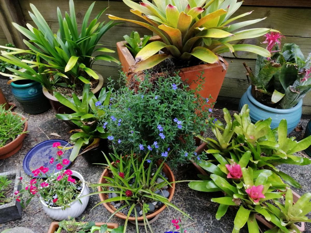 אוקלנד Double Room With Shared Bathroom מראה חיצוני תמונה