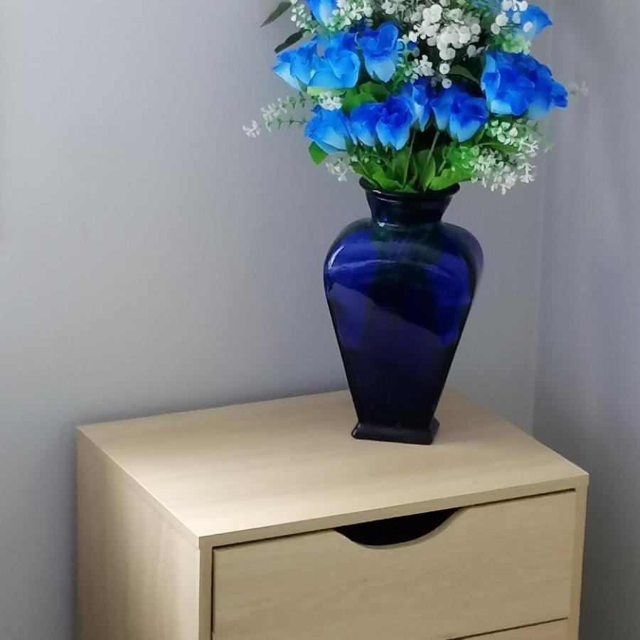 אוקלנד Double Room With Shared Bathroom מראה חיצוני תמונה